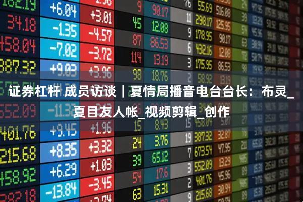 证券杠杆 成员访谈｜夏情局播音电台台长：布灵_夏目友人帐_视频剪辑_创作