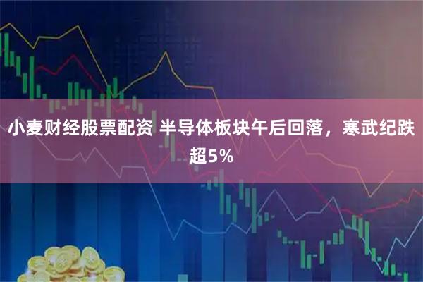 小麦财经股票配资 半导体板块午后回落，寒武纪跌超5%