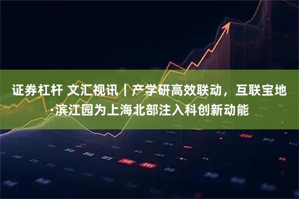 证券杠杆 文汇视讯｜产学研高效联动，互联宝地·滨江园为上海北部注入科创新动能